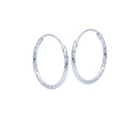 Pretty pattern Silver Hoop Earring HO-2588